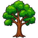 Frq 0279 Arbre