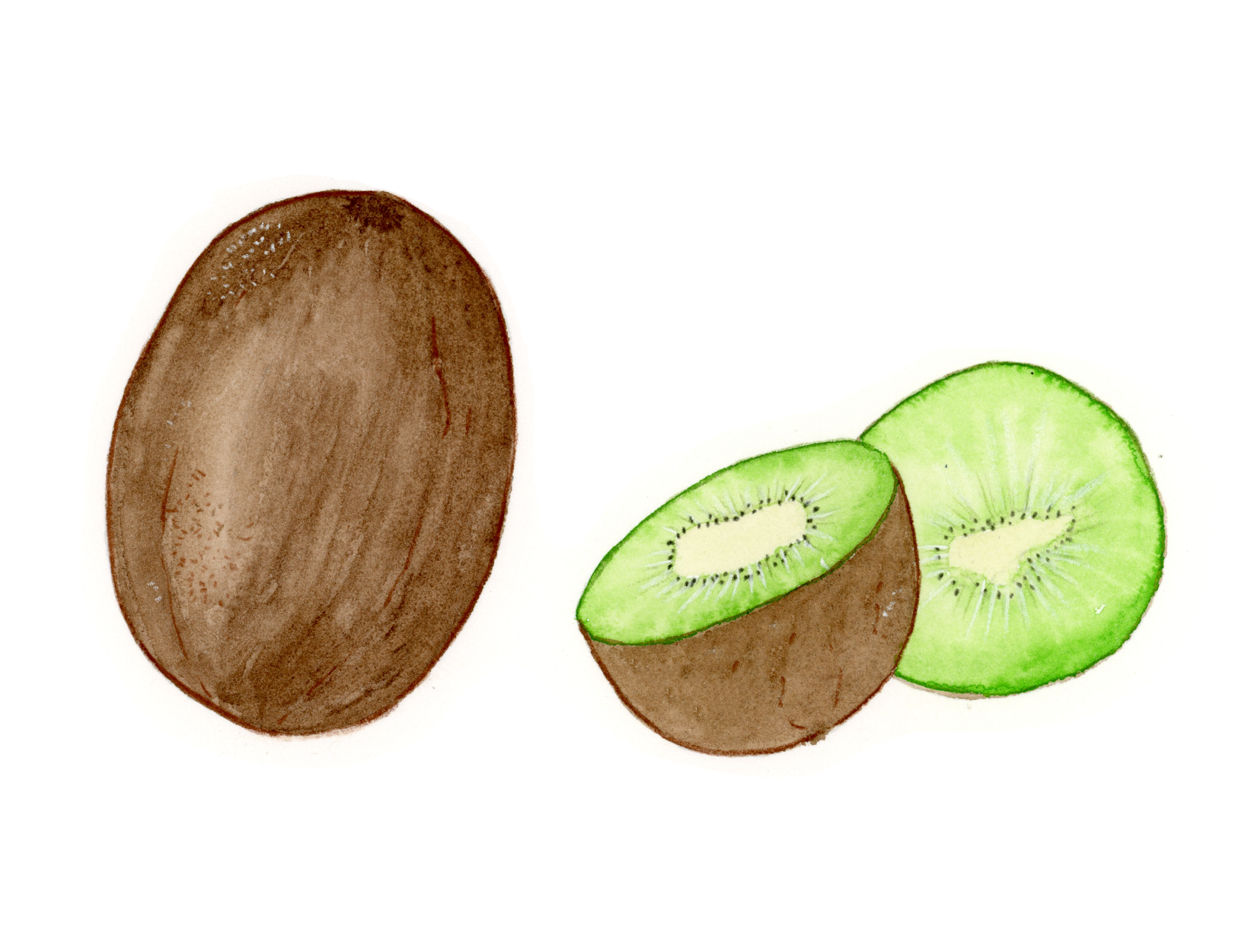 Kiwi