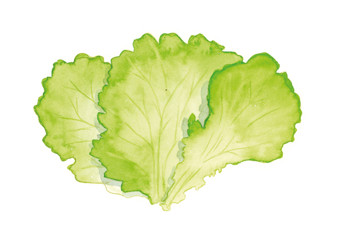 salade