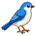 Oiseau