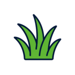 Herbe